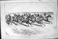 Original Old Antique Print Middle Park Plate Race Horses Sport Sturgess 1878