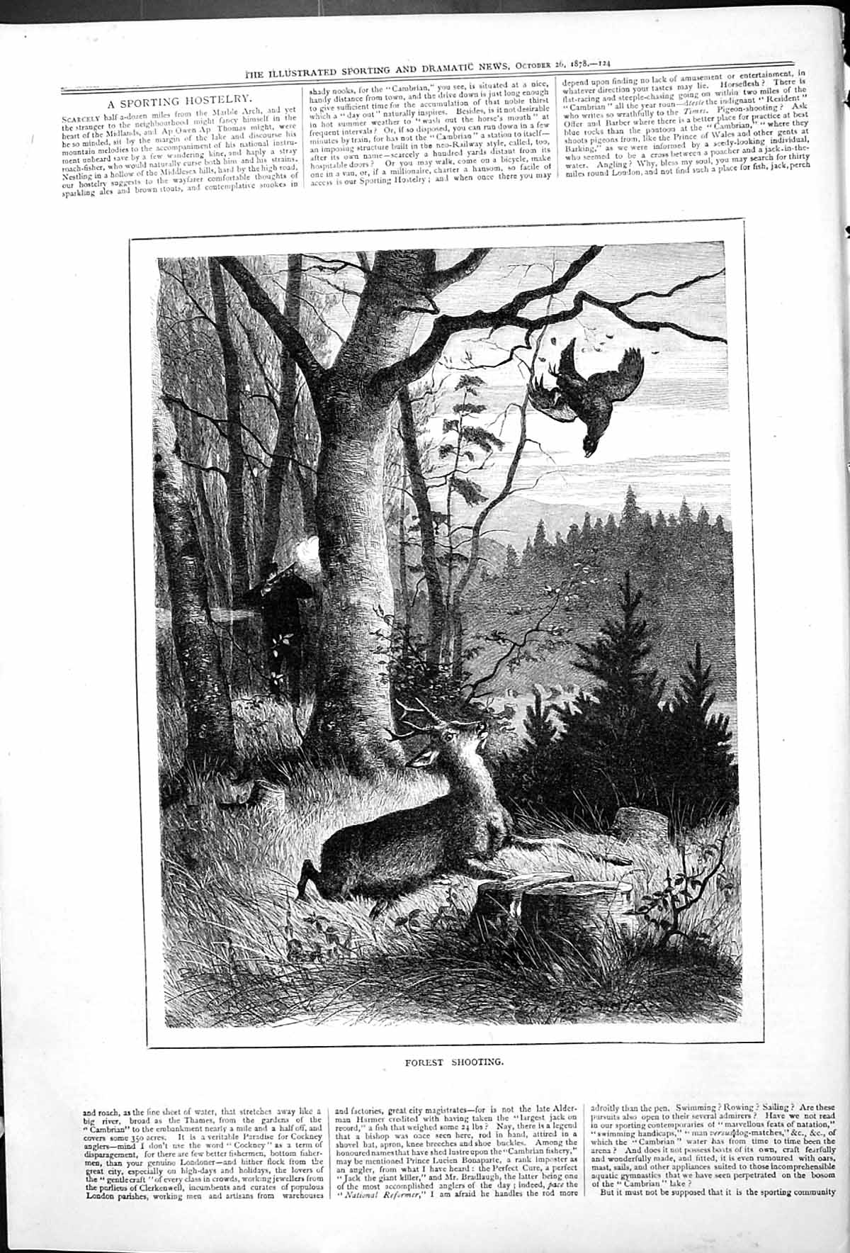 Original Old Antique Print Forest Shooting Scene Hunting Deer Bird Sport 1878