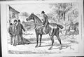 Original Old Antique Print Horse Men Outdoor Scene Sturgess Think He'Ll Do 1878