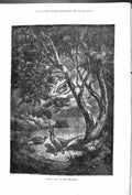 Original Old Antique Print A Quiet Nook For Pheasants Outdoor Scene Birds 1878