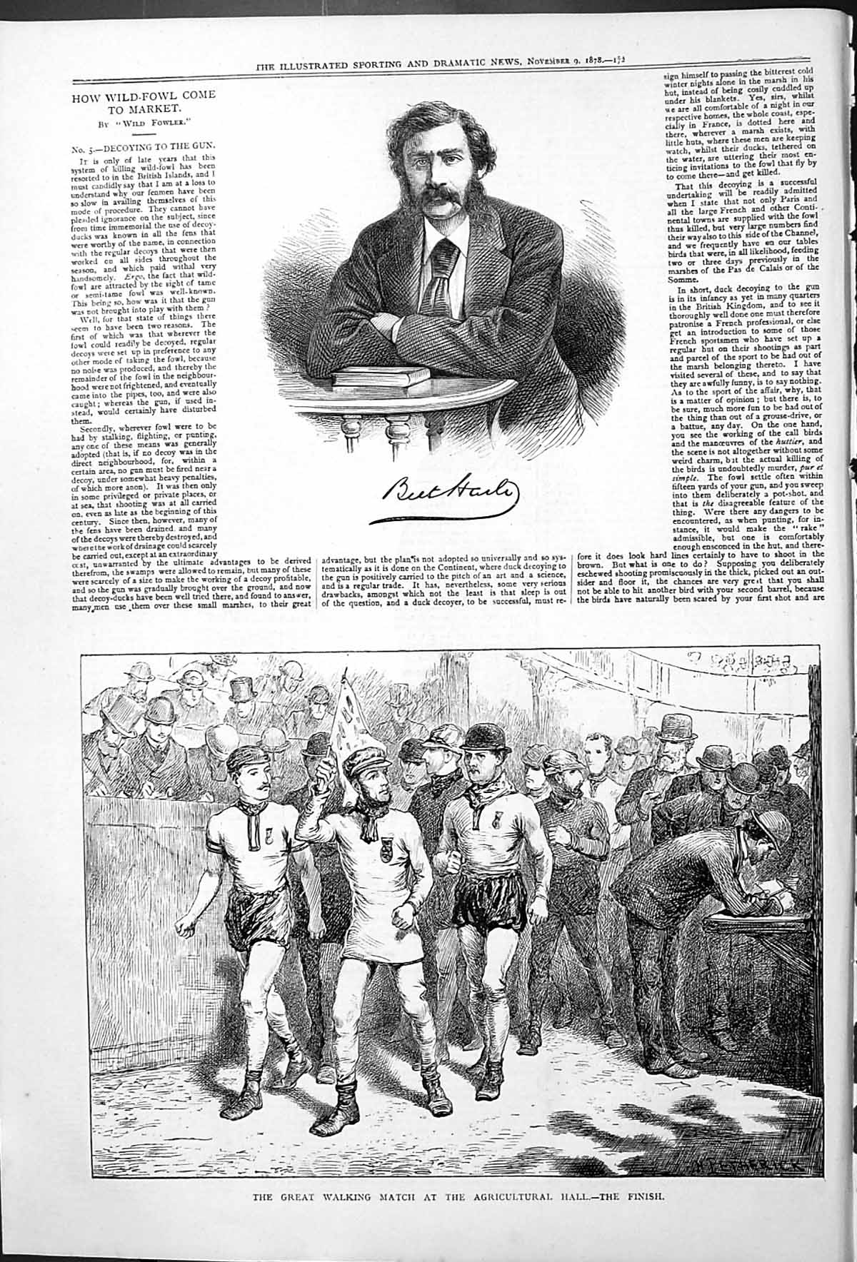 Antique Old Print Finish Great Walking Match At Agricultural Hall Haile 1878