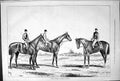 Old Three Famous American Racers Horses Bombast Gloverbrook Parole St Victorian