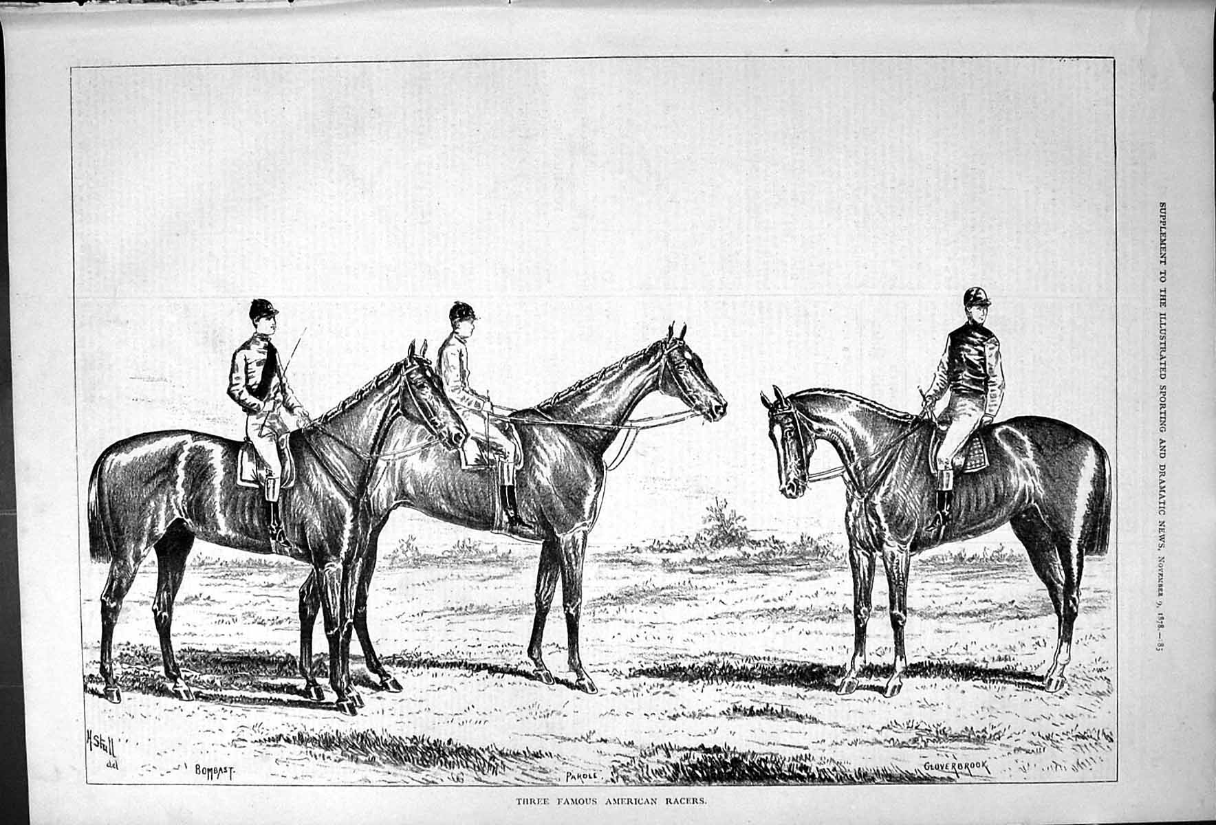 Old Three Famous American Racers Horses Bombast Gloverbrook Parole St Victorian