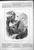 Original Old Antique Print Rocky Mountain Jumping Sheep An Alarm 1878 Victorian