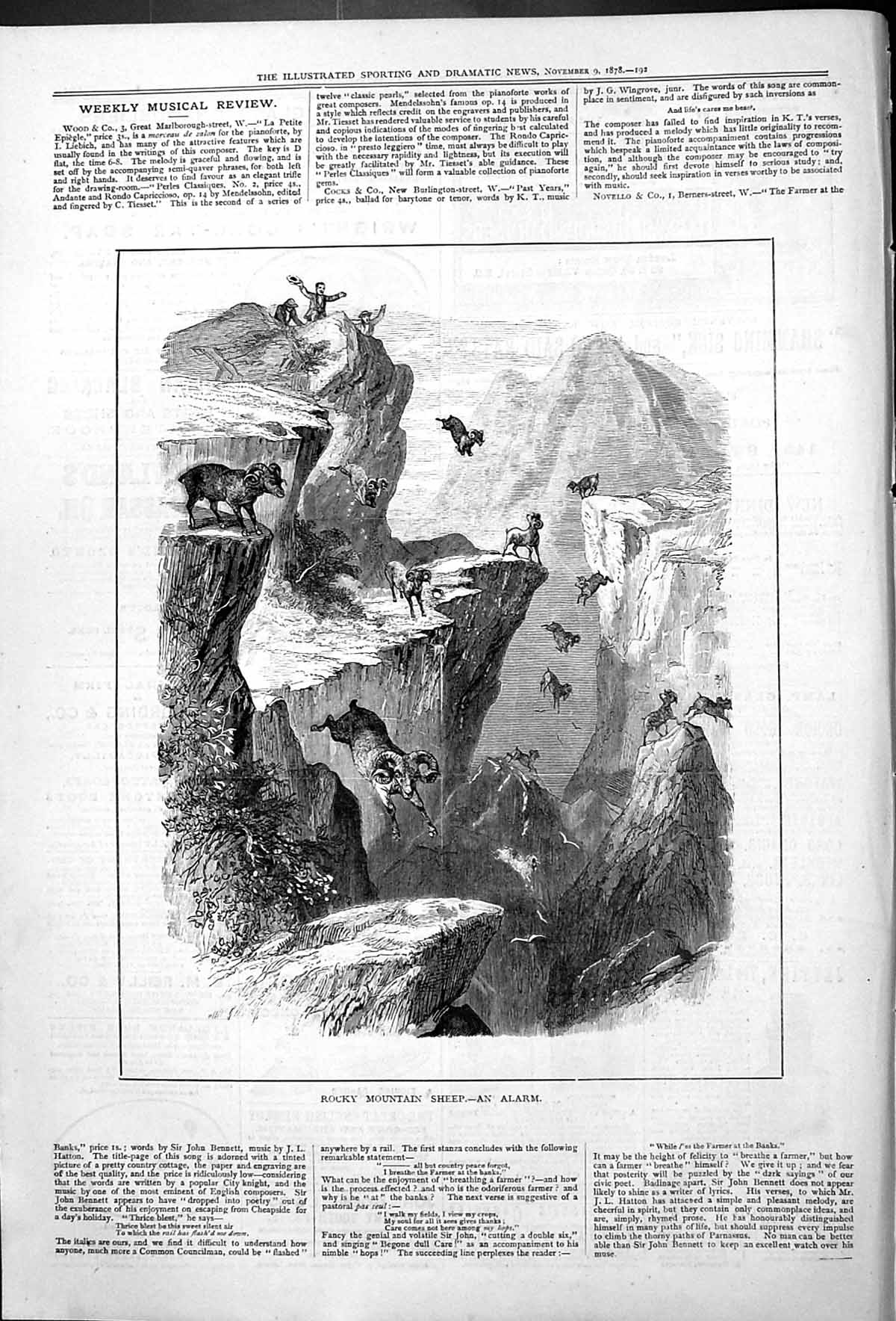 Original Old Antique Print Rocky Mountain Jumping Sheep An Alarm 1878 Victorian