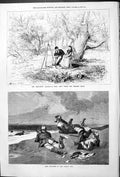 Antique Old Print Sketching Season Thames Bank North Sea Seal Hunting 1878 19th