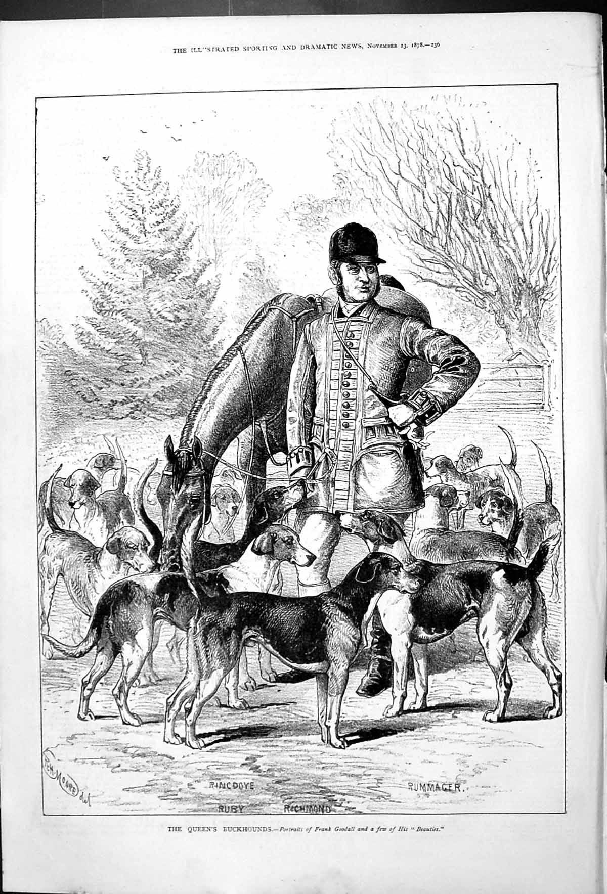 Old Queen'S Buckhounds Frank Goodall Dogs Horse Moore Ruby Richmond R