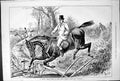 Original Old Antique Print Blind Fence Plough Horse Hunting Sport Sturgess 1878