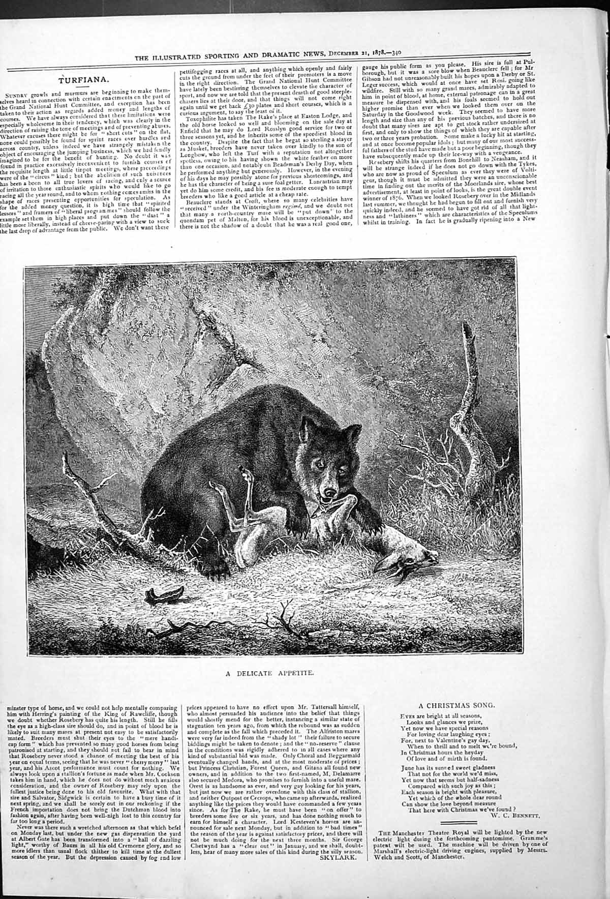 Old Antique Print A Delicate Appetite Bear Attacking Deer Turfania 1878 19th