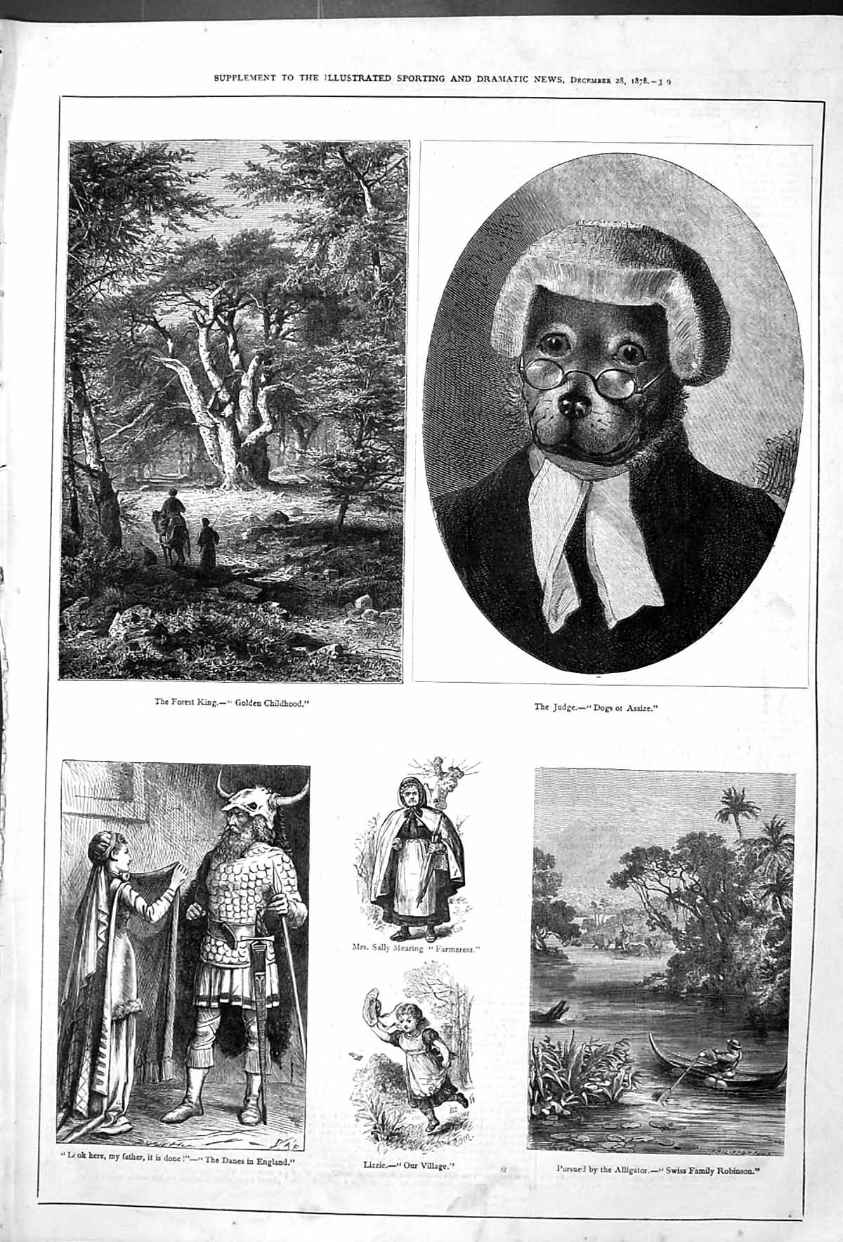 Old Judge Assize Dog Forest England Danes Lizzie Mearing Alligator Ro