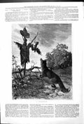 Original Old Antique Print Scarecrow Outdoor Scene Wolf 1879 19th