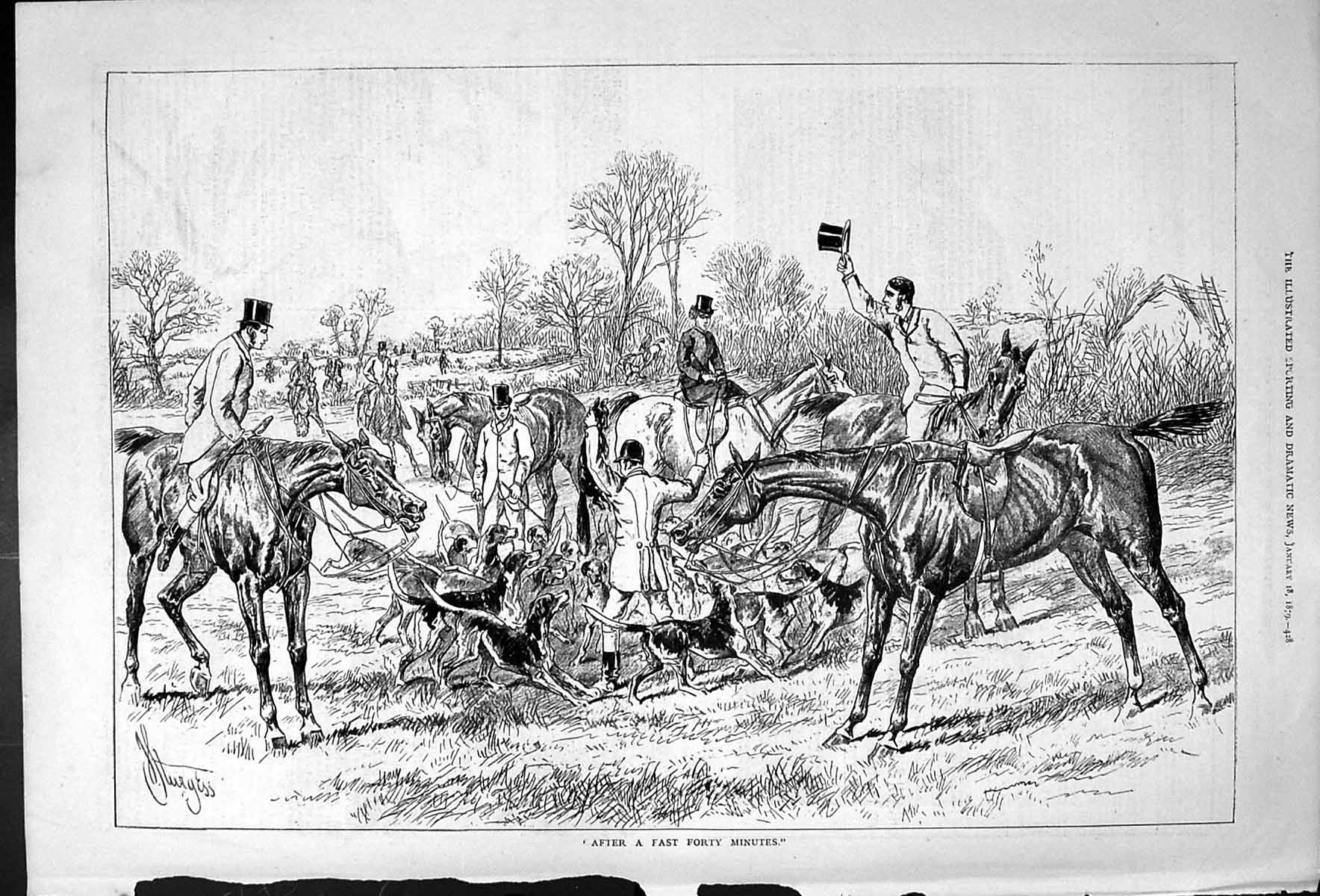Old Sturgess Horse Hound Huny After A Fast Forty Minutes Outdoor Scen