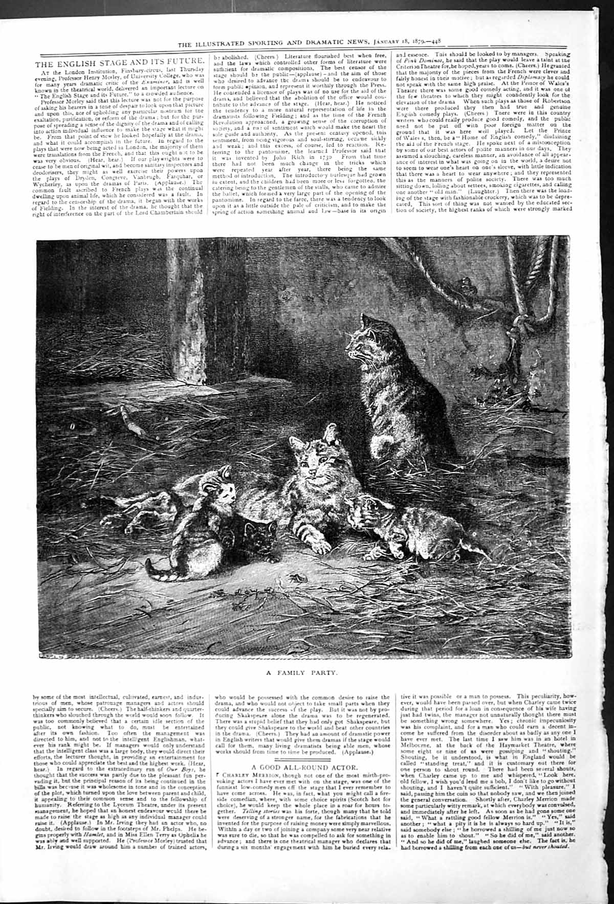 Original Old Antique Print Family Party Cats Kittens Animals Pets Portrait 1879