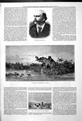 Old Charles Coote Junr Elephant Attacked By Lions Wild Duck Shooting