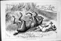 Old Sturgess 1879 Another Good Man Gone Wrong Horse Hunting Accident Victorian