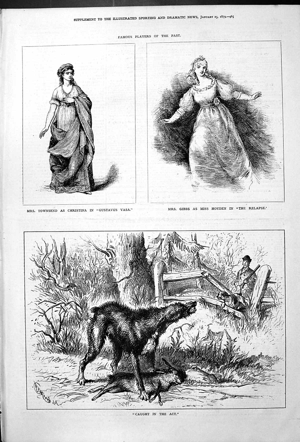 Old Mrs Townsend Gustavus Vasa Gibbs Relapse Wolf Killed Sheep Moore