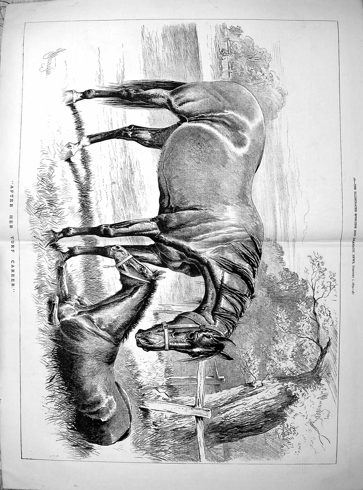 Old After Her Turf Career Retired Horse With Foal Scene Sturgess 1879 19th