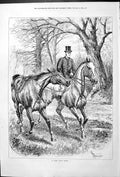 Old Antique Print A Long Trot Home 1879 Horses Outdoor Scene By Sturgess 19th