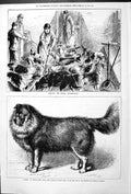 Antique Print Captain Ryan Nero Nepaulese Dog 1879 Feeding Royal Buckhounds