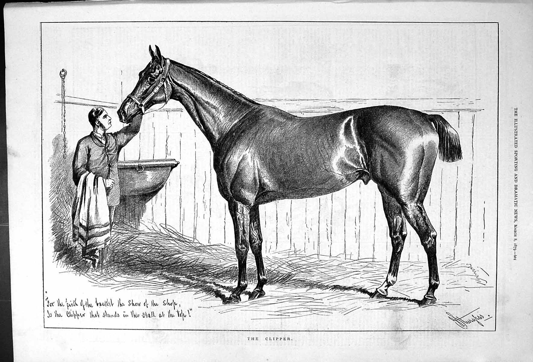 Original Old Antique Print The Clipper 1879 Show Horse Animal Sturgess 19th