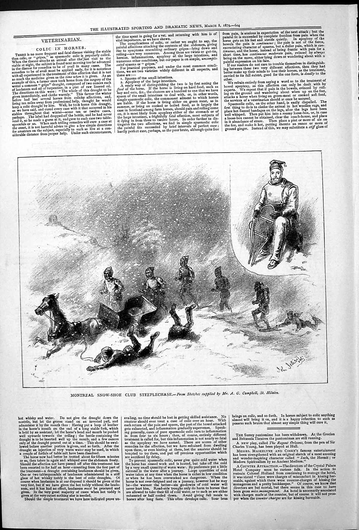Old Montreal Snow-Shoe Club Steeplechase Campbell Hilaire Horses Outd