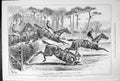 Antique Print Grand Military HousehBrigade Steeplechases Sandown Park 1879 19th