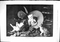 Original Old Antique Print 1879 Cats Cardinal Richelieu Pets Animals Fine Art
