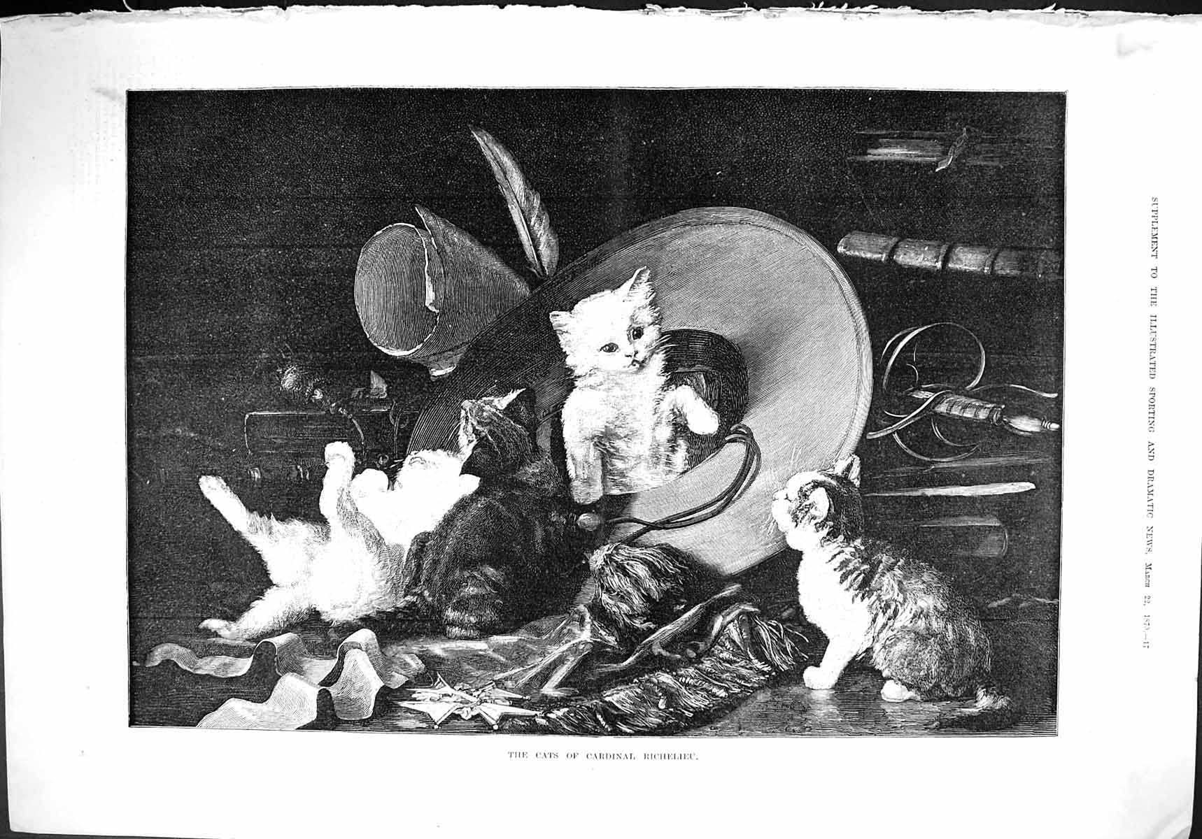 Original Old Antique Print 1879 Cats Cardinal Richelieu Pets Animals Fine Art