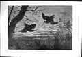 Old Print 1879 Snipe Birds Flight By Night Moonlight Scene Trees Fine Art 19th