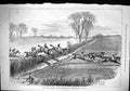 Old 1879 Grand National Hunt Steeplechase Derby Horses Jumping Plough Victorian