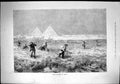 Old Print 1879 Quail Shooting Egypt Birds Hunting Sport Huntsmen Pyramids 19th