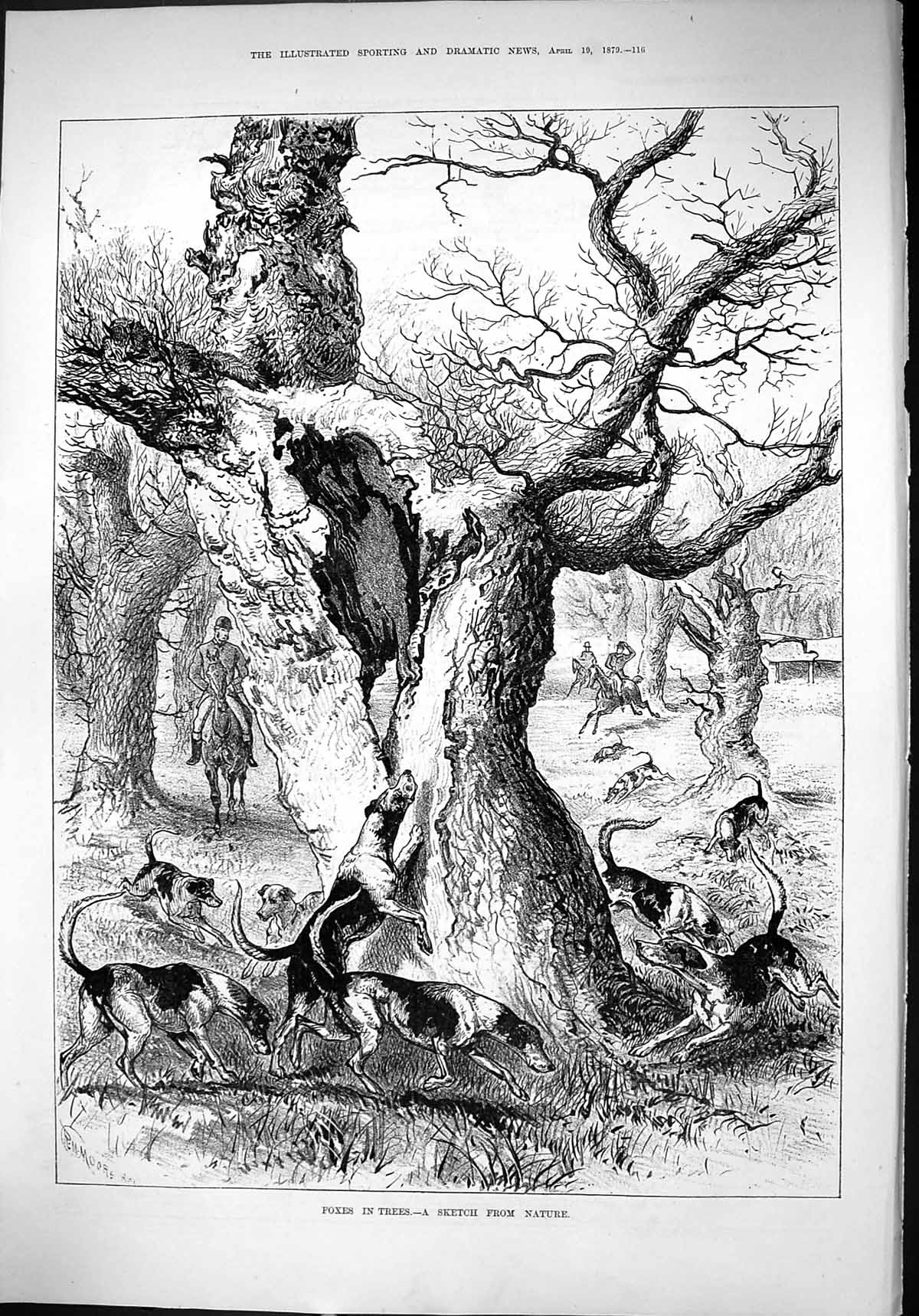 Antique Old Print 1879 Fox Hunting Trees Hounds Dogs Huntsmen Horses Moore 19th
