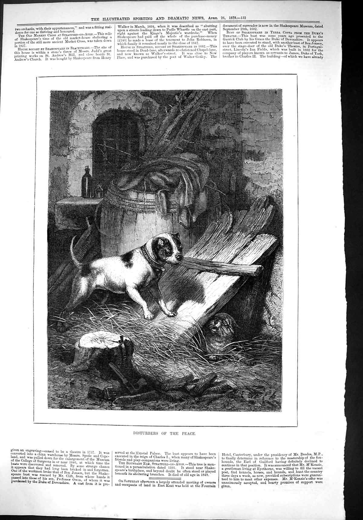 Original Old Antique Print 1879 Disturbers Peace Dog Wild-Cat Barn Scene 19th