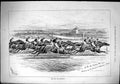 Old 1879 City Suburban Horse Racing Jockeys Tattersham Corner Sport S Victorian