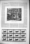Old Antique Print 1879 Royal Academy Trotting Horse Occident Trot Action 19th