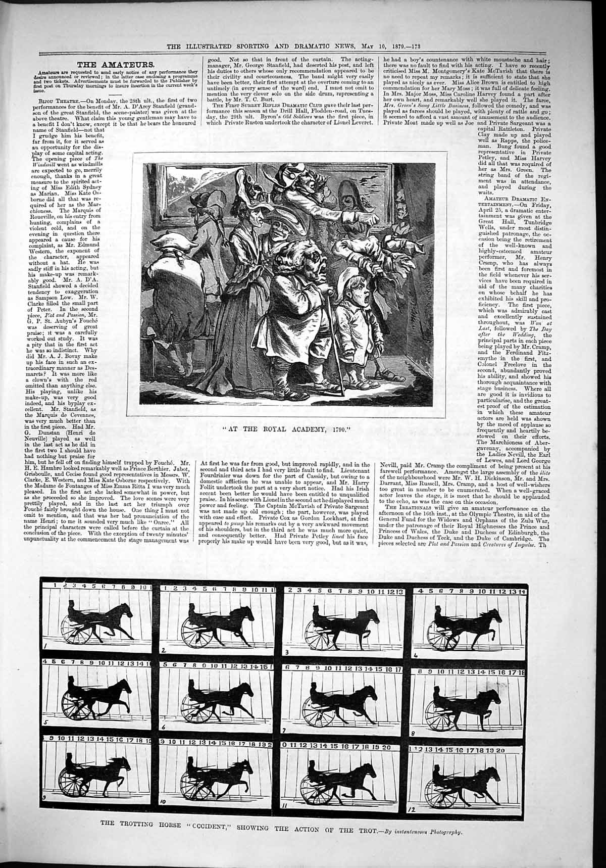 Old Antique Print 1879 Royal Academy Trotting Horse Occident Trot Action 19th