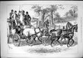 Original Old Antique Print 1879 Scratch Team Horses Carriage Transport Coach