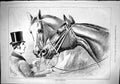 Original Old Antique Print 1879 Stable Companions Beautiful Horses Sturgess