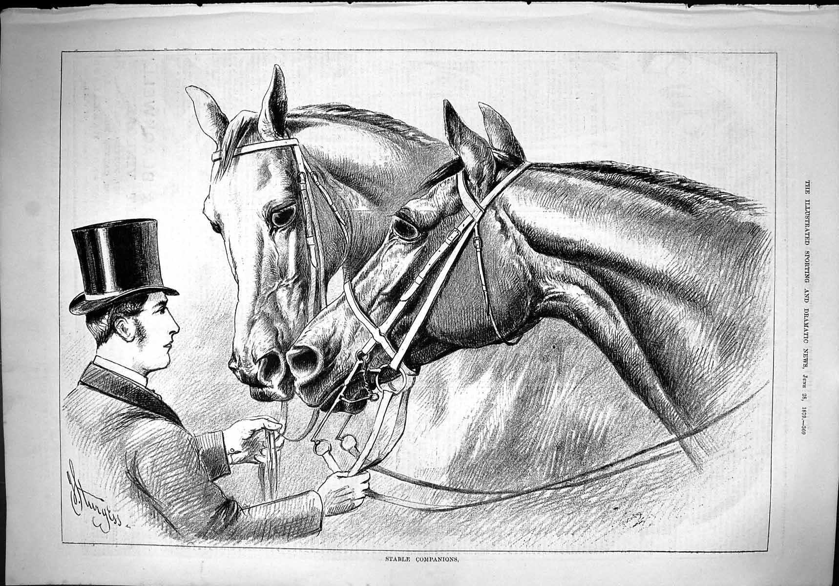 Original Old Antique Print 1879 Stable Companions Beautiful Horses Sturgess