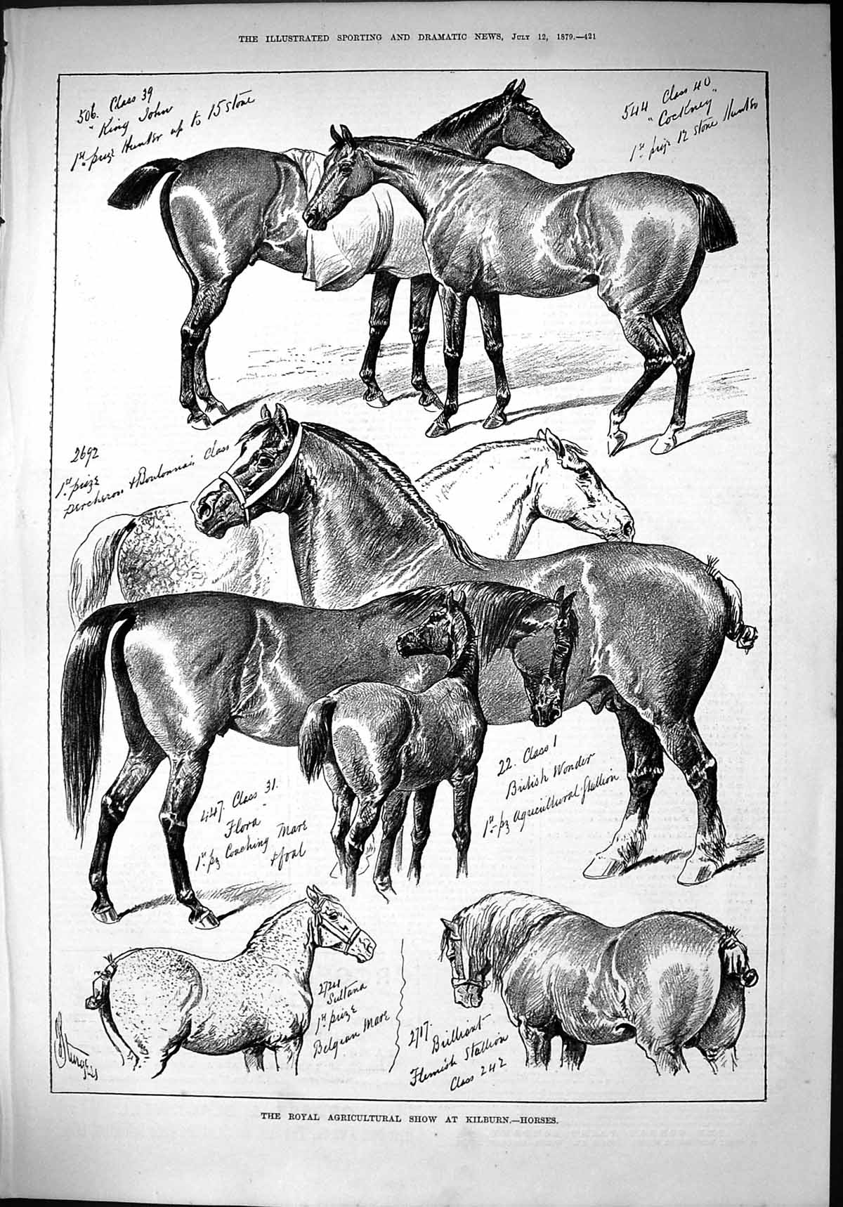 Antique Old Print 1879 Royal Agricultural Show Kilburn Horses British Wonder