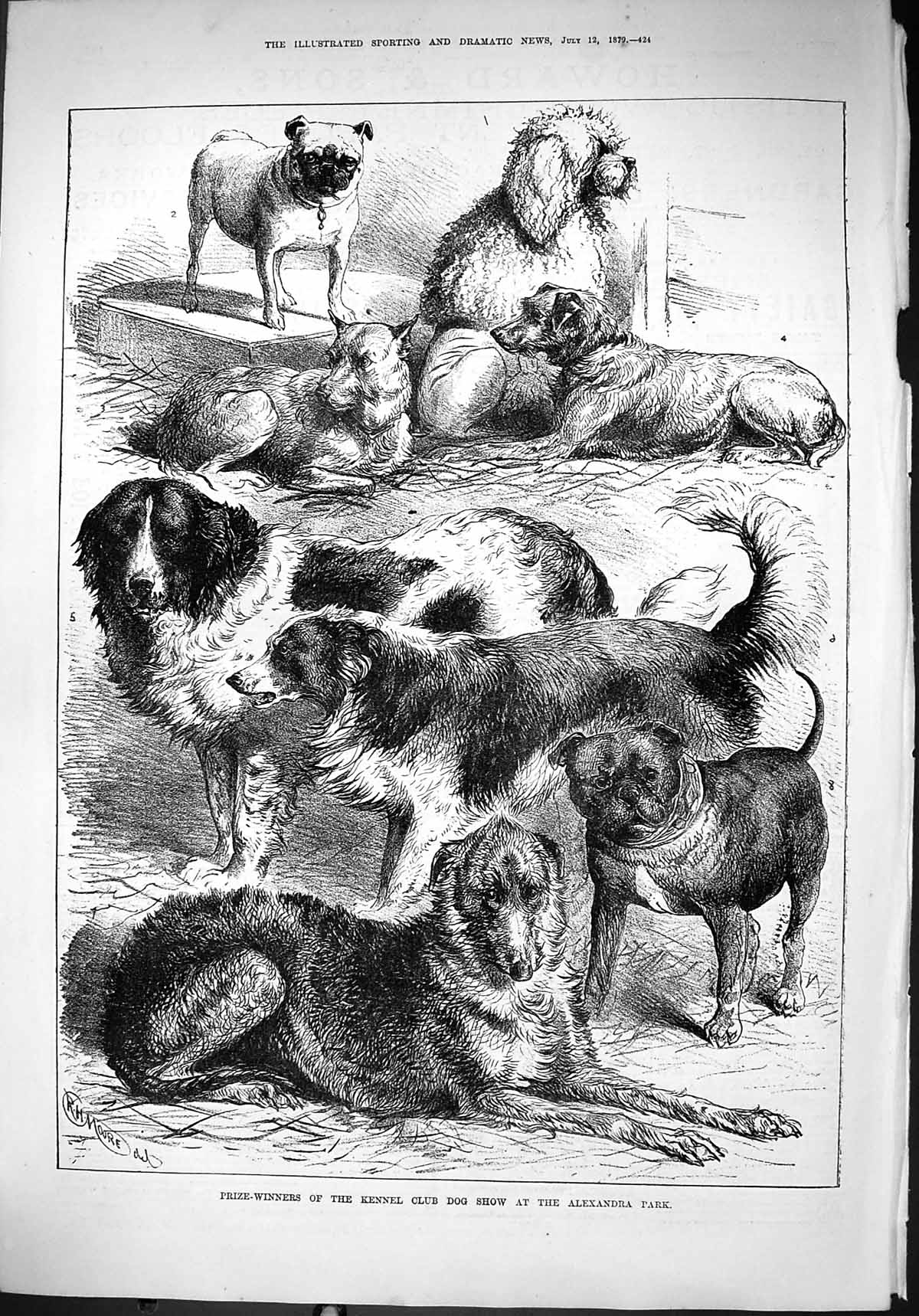 Antique Print 1879 Prize-Winners Kennel Club Dog Show Alexandra Park Moore 19th