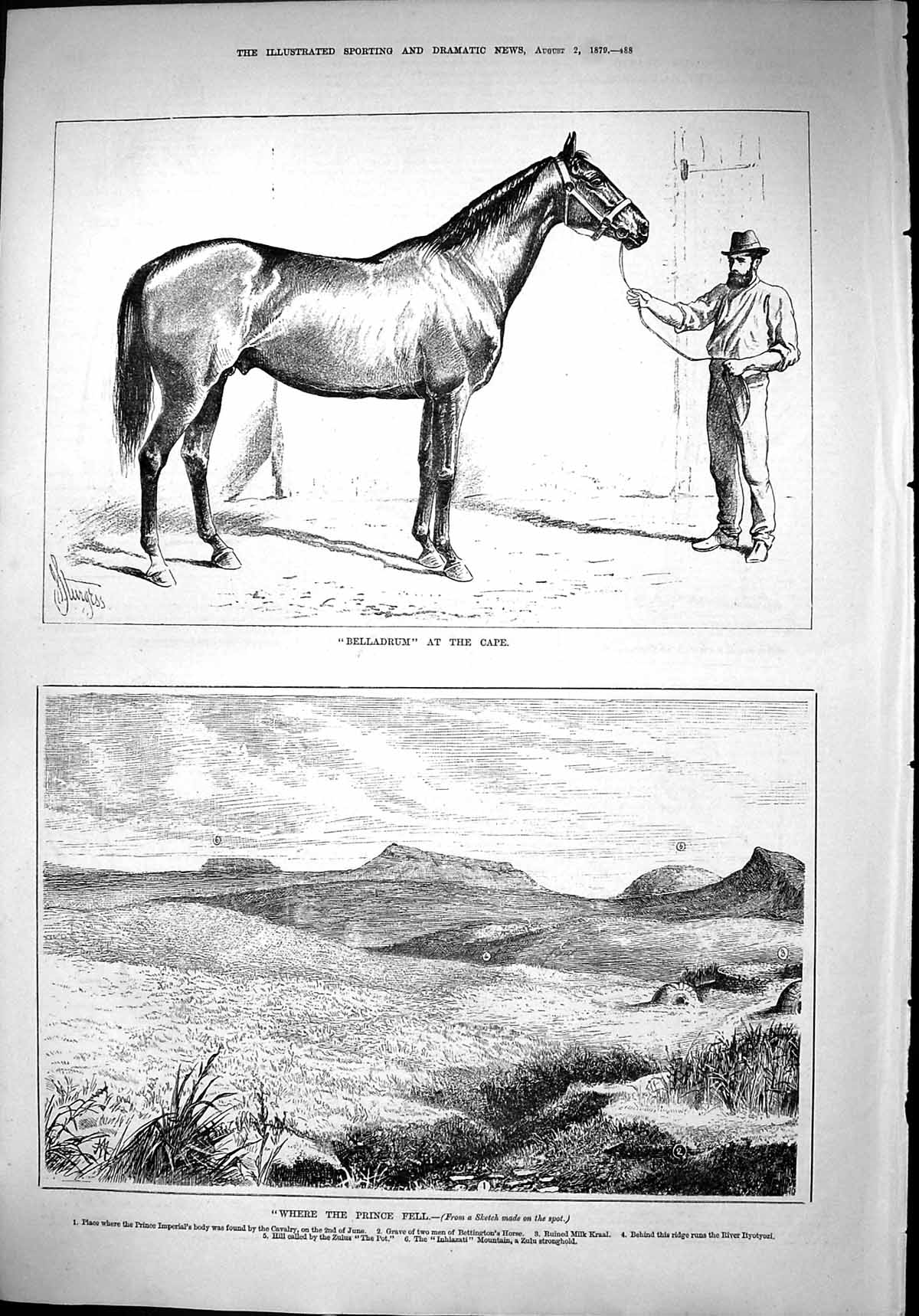 Old 1879 Prince Imperial Body Bettington Horse Zulu War Belladrum Hor Victorian