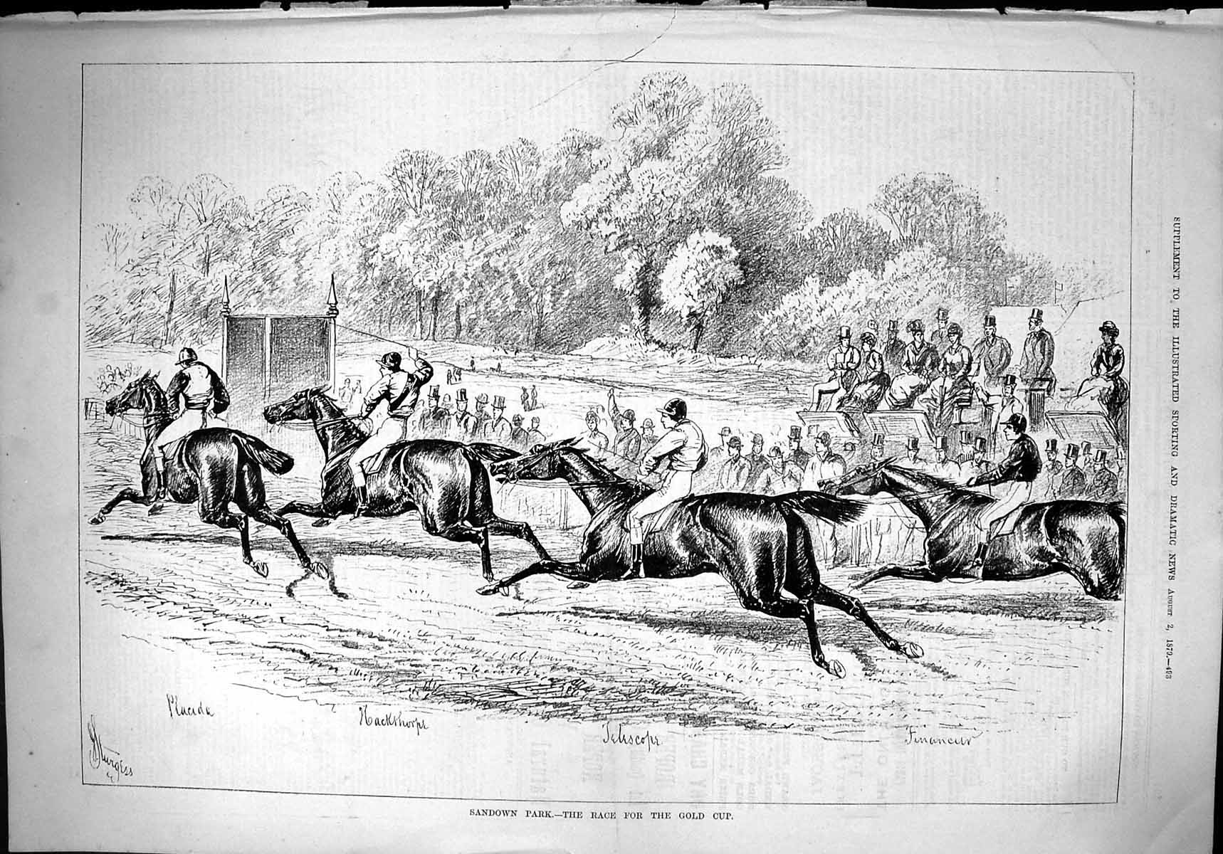 Old 1879 Sandown Horse Racing Sport Placida Hackthorpe Telescope Stur Victorian
