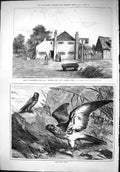 Antique Print 1879 Mother Red Cap Camden Town Famous Hostelries Fish Fowl B
