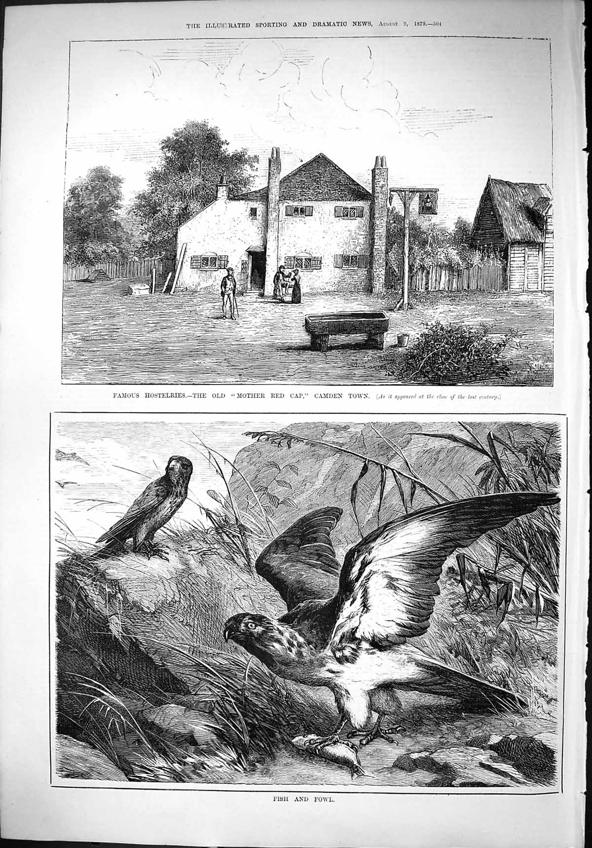 Antique Print 1879 Mother Red Cap Camden Town Famous Hostelries Fish Fowl B