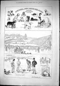 Old 1879 Durham Yorkshire Dog Show Woodside Darlington Waddle Tarquin Victorian