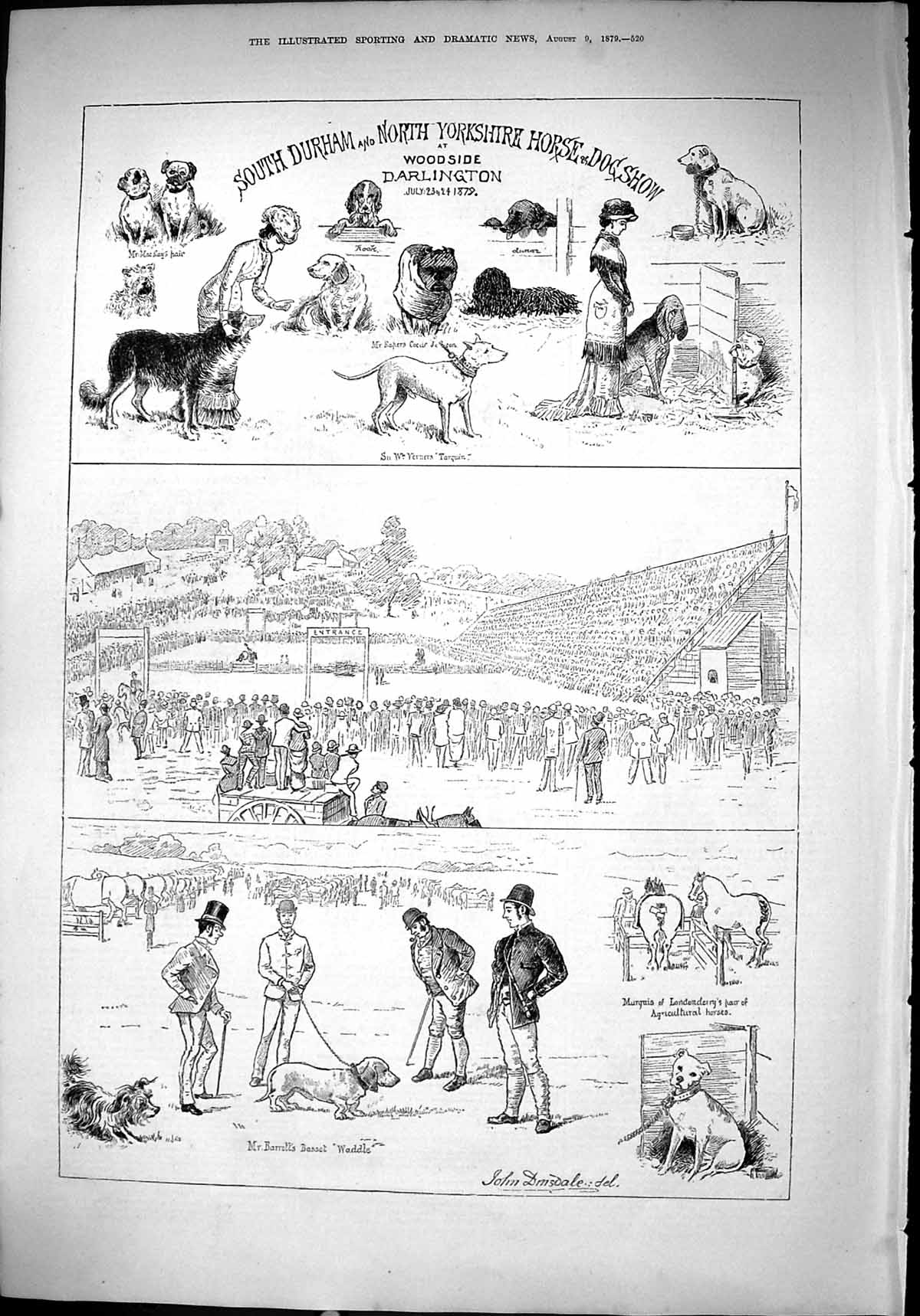 Old 1879 Durham Yorkshire Dog Show Woodside Darlington Waddle Tarquin Victorian