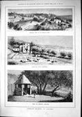 Old 1879 Ostrich Rearing Algiers Farm Breeding Park Africa Animals Bi Victorian