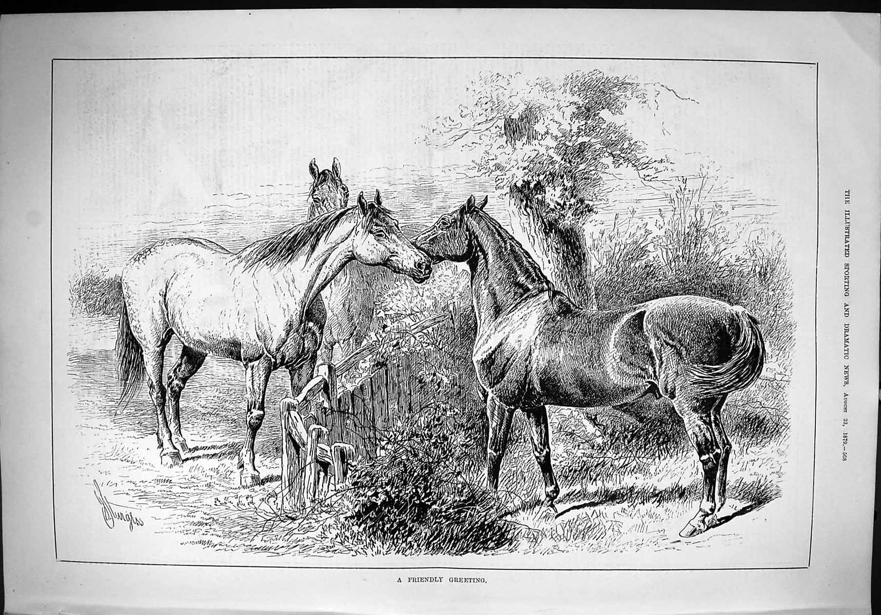 Original Old Antique Print 1879 Horses Friendly Greeting Countryside Sturgess
