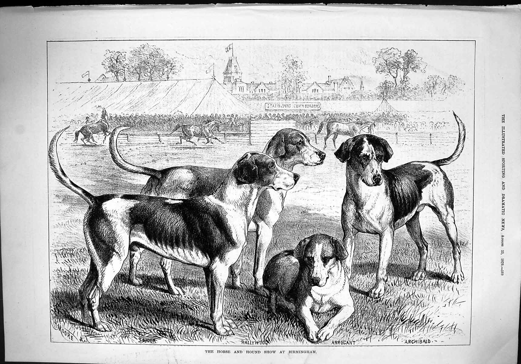 Old 1879 Horse Hound Dogs Show Birmingham Sailor Arrogant Rallywood A Victorian